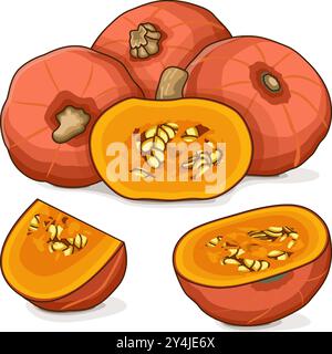 Ganzer und gehackter Sunshine Kabocha Kürbis. Winter-Squash. Cucurbita maxima. Gemüse. Clip Art. Isolierte Vektordarstellung. Stock Vektor