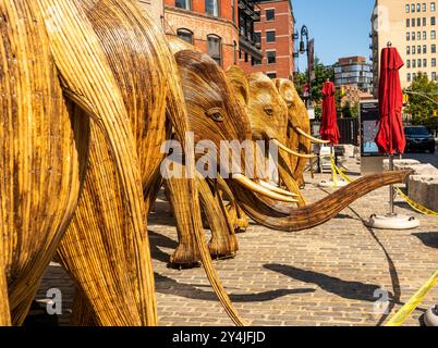 Die öffentliche Kunstinstallation Great Elephant Migration im Meatpacking District in New York am Donnerstag, den 5. September 2024, begeistert die Menschen. Die 100 Statuen wurden von der Coexistence Collective geschaffen, deren Mission es den Menschen ermöglicht, den Raum mit den prächtigen Kreaturen der Natur zu teilen. Die Elefanten wurden von indianischen Handwerkern aus der Lantana Camara, einer invasiven Pflanzenart, gebaut. Die Installation wird bis zum 20. Oktober ausgestellt. (©ÊRichard B. Levine) Stockfoto