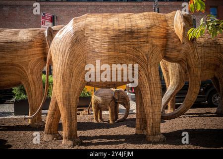 Die öffentliche Kunstinstallation Great Elephant Migration im Meatpacking District in New York am Donnerstag, den 5. September 2024, begeistert die Menschen. Die 100 Statuen wurden von der Coexistence Collective geschaffen, deren Mission es den Menschen ermöglicht, den Raum mit den prächtigen Kreaturen der Natur zu teilen. Die Elefanten wurden von indianischen Handwerkern aus der Lantana Camara, einer invasiven Pflanzenart, gebaut. Die Installation wird bis zum 20. Oktober ausgestellt. (©ÊRichard B. Levine) Stockfoto