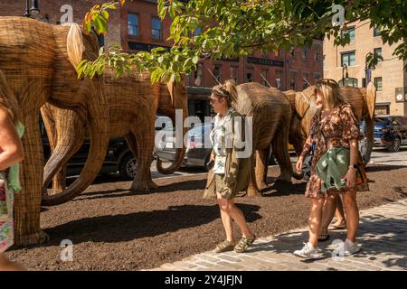 Die öffentliche Kunstinstallation Great Elephant Migration im Meatpacking District in New York am Donnerstag, den 5. September 2024, begeistert die Menschen. Die 100 Statuen wurden von der Coexistence Collective geschaffen, deren Mission es den Menschen ermöglicht, den Raum mit den prächtigen Kreaturen der Natur zu teilen. Die Elefanten wurden von indianischen Handwerkern aus der Lantana Camara, einer invasiven Pflanzenart, gebaut. Die Installation wird bis zum 20. Oktober ausgestellt. (©ÊRichard B. Levine) Stockfoto