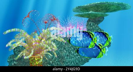 Schwarze Butterflyfish finden Schutz zwischen Anemonen, Gitterkorallen und Meeressternen an einem Korallenriff. Stockfoto