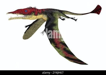 Eudimorphodon war ein Pterosaurier aus der späten Trias Italiens mit einem diamantförmigen Schwanz. Stockfoto