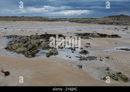 Plage de Saint-Pabu in der Bretagne bei Niedrigwasser, Frankreich Stockfoto