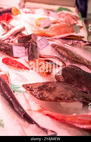 Fisch auf Eis ausgestellt und zum Verkauf auf La Boqueria, einem großen öffentlichen Markt in Barcelona, Spanien. Stockfoto