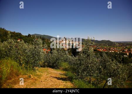 Castiglion Fiorentino ist eine kleine Stadt in der östlichen Toskana, in der Provinz Arezzo, zwischen den Städten Arezzo und Cortona. Es ist gut, nein Stockfoto