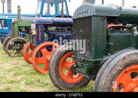 Low Ham.Somerset.Vereinigtes Königreich. 20. Juli 2024. Eine Reihe von Oldtimer-Traktoren, darunter ein Paar Standard Fordsons, ist auf der Somerset Steam and Co zu sehen Stockfoto