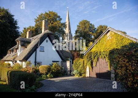 Herbstlicher Kriecher auf einem reetgedeckten Häuschen und Kirchturm in Houghton, Cambridgeshire, Großbritannien Stockfoto