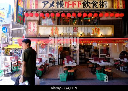 Ein Restaurant in Izakaya, das sich auf gegrilltes Fleisch spezialisiert hat, befindet sich in den Seitenstraßen, die von der Hauptstraße Ameyoko im Einkaufsviertel Okachimachi abzweigen. Ueno, Taito Ward, Tokio, Japan Stockfoto