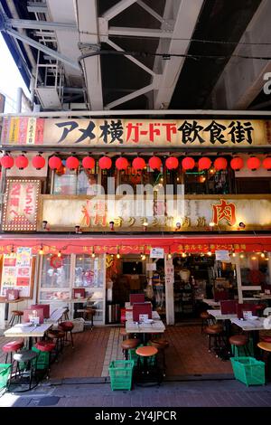 Ein Restaurant in Izakaya, das sich auf gegrilltes Fleisch spezialisiert hat, befindet sich in den Seitenstraßen, die von der Hauptstraße Ameyoko im Einkaufsviertel Okachimachi abzweigen. Ueno, Taito Ward, Tokio, Japan Stockfoto