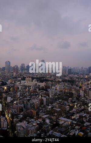 Der Blick in die Dämmerung der Stadt Tokio in Richtung Minato City mit dem Tokyo Tower in der Nähe der Sky Lounge des Yebisu Garden Place Tower vor der Ankunft eines Taifuns. Ebisu, Tokio, Japan Stockfoto