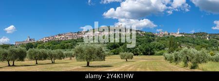 Assisi - das Panorama der Altstadt. Stockfoto