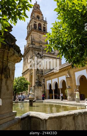 Die Kathedrale von Cordoba in Cordoba, Spanien, auch bekannt als die große Moschee von Cordoba, ist ein UNESCO-Weltkulturerbe Stockfoto