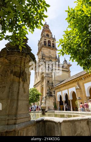 Die Kathedrale von Cordoba in Cordoba, Spanien, auch bekannt als die große Moschee von Cordoba, ist ein UNESCO-Weltkulturerbe Stockfoto