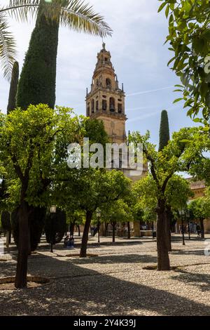 Die Kathedrale von Cordoba in Cordoba, Spanien, auch bekannt als die große Moschee von Cordoba, ist ein UNESCO-Weltkulturerbe Stockfoto