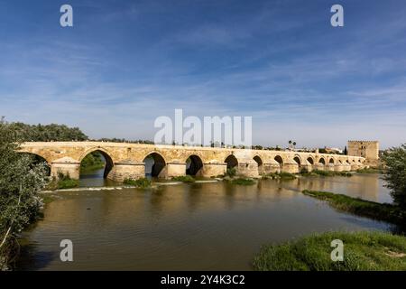 Puente, Romano, auch bekannt als die Römische Brücke über den Guadalquivir Fluss in Cordoba, Spanien. Stockfoto