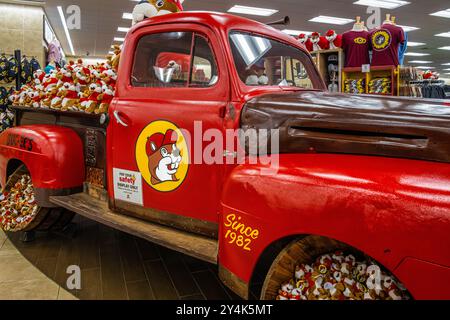 Innenraum des Buc-ees-Reisezentrums mit beliebten Merchandise-Artikeln der Ladenmarke in Warner Robins, Georgia. (USA) Stockfoto