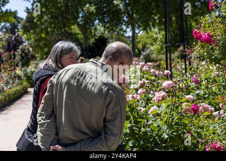 Der Retiro Park ist ein UNESCO-Weltkulturerbe und umfasst 350 Hektar in Madrid, Spanien. Stockfoto