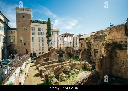Tempel des Apollo Palatinus Ruinen auf dem Palatin Hügel, Rom, Italien - 2. Mai 2024. Hochwertige Fotos Stockfoto