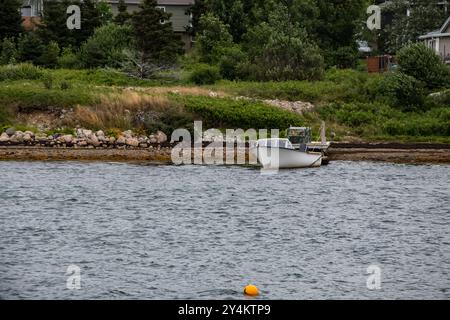 Boot vor Anker am Indian Pond in Seal Cove, Conception Bay South, Neufundland & Labrador, Kanada Stockfoto