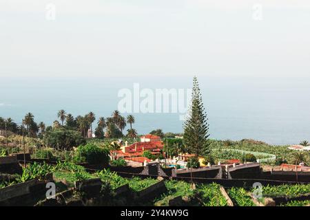 Grüne Landschaft auf Teneriffa, Kanarischen Inseln. Malerischer Hügel mit einem charmanten Haus eingebettet zwischen üppigem Grün und einem einsamen Baum Stockfoto
