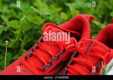 Tyumen, Russland, 20. Juni 2024: Turnschuhe rot Reebok Männer Modell Nanoflex EK M2. Stockfoto