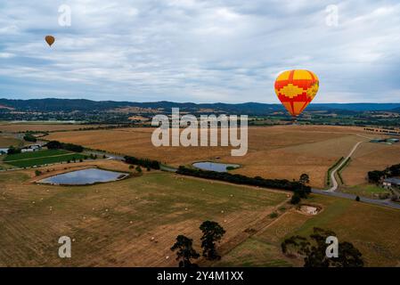 Blick aus der Vogelperspektive auf das Yarra Valley bei Sonnenaufgang (mit mehreren Heißluftballons in Sicht), aufgenommen von der Heißluftballonfahrt, Victoria, Australien Stockfoto