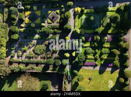 Die Beschneidung des ältesten Topiars der Welt wird in der Levens Hall in Kendal, Cumbria, durchgeführt. Der Hauptgärtner Chris Crowder 61 beginnt 38 Jahre mit dem Trimmen mit einem Kirschpflücker, der 2 Monate in Anspruch nimmt. Levens Hall, ein privates Haus und Gärten, beherbergt die ältesten topiären Gärten der Welt, die 1694 gegründet wurden. Bilddatum: Mittwoch, 18. September 2024. Stockfoto