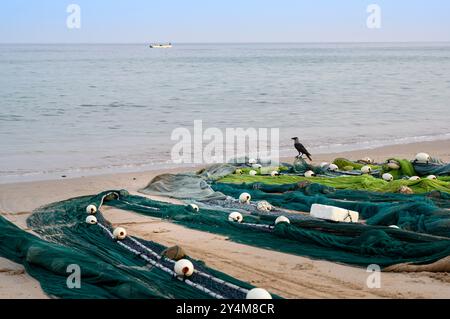 Eine Krähe auf Fischernetzen am Sandstrand des Golfs von Oman auf der Arabischen Halbinsel in den Vereinigten Arabischen Emiraten Stockfoto