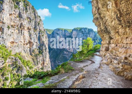 Klippenhängepfad über der Vikos-Schlucht in der Nähe des Klosters Agia Paraskevi. Monodendri, Epirus, Griechenland Stockfoto