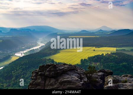 Früher nebeliger Morgen. Luftaufnahme der Landschaft mit blühenden gelben Rapsfeldern. Nationalpark Sächsische Schweiz in Deutschland. Bad Schandau. Stockfoto