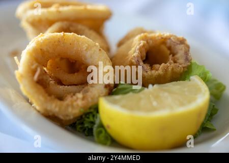 Frittiertes Calamari-Gericht auf weißem Hintergrund Stockfoto