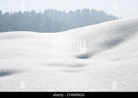 Gulmarg, Jammu und Kaschmir / Indien - 19. Dezember 2019 : Ein Blick auf den Schnee in Gulmarg, Jammu und Kaschmir. Stockfoto