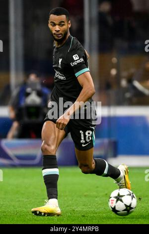 Cody Gakpo vom FC Liverpool beim Fußballspiel der UEFA Champions League 2024/2025 zwischen dem AC Mailand und dem FC Liverpool im San Siro Stadion in Mailand (Italien) am 17. September 2024. Stockfoto