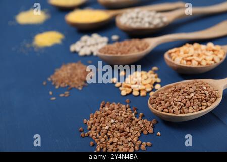 Verschiedene Getreidearten und Hülsenfrüchte in Löffeln auf blauem Holztisch, Nahaufnahme Stockfoto