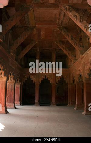 AGRA, UTTAR PRADESH / INDIEN - 9. FEBRUAR 2012 : Eine wunderschöne, vereinzelte Steinschnitzerei an Wand und Säulen im Palast von Jahangir in Agra fo Stockfoto