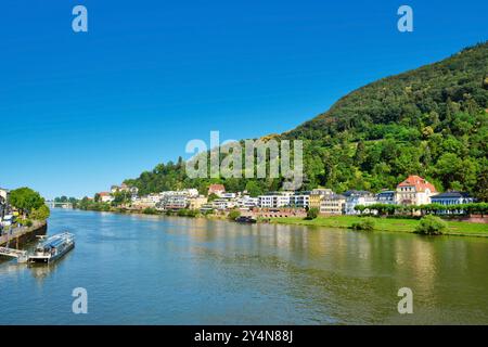 Heidelberg, Deutschland - 28. Juni 2024: Blick über das untere Neckarufer mit Straßen- und Wohnhäusern im Sommer mit blauem Himmel Stockfoto