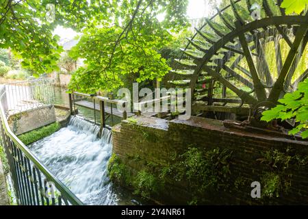 Altes Wasserrad am Fluss Veules, Veules-les-Roses, Normandie, Frankreich Stockfoto