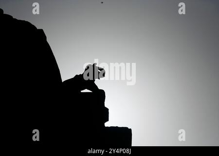 Vadodara, Gujarat/Indien - 08. April 2014: Silhouettenansicht der Skulptur eines Elefanten des Jain-Tempels auf dem Pavagadh-Hügel. Stockfoto