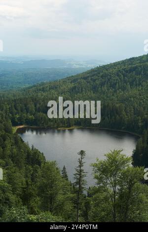 Der Bayerische Wald ist ein atemberaubendes Naturparadies mit dichten Wäldern, majestätischen Bergen und klaren Bergseen, perfekt für Outdoor-Abenteuer. Stockfoto