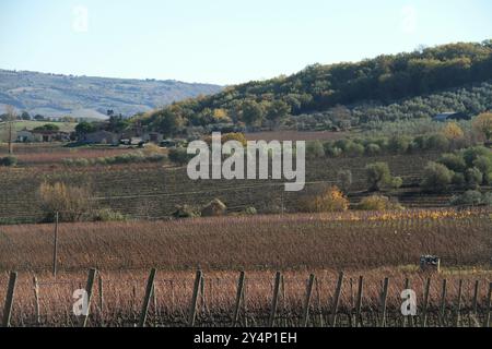 Landschaft Ende November im Val d'Orcia, Italien Stockfoto