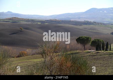 Landschaft Ende November im Val d'Orcia, Italien Stockfoto