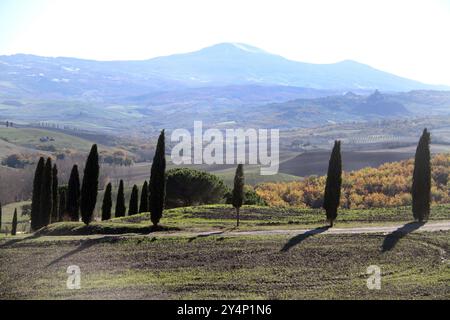 Landschaft Ende November im Val d'Orcia, Italien Stockfoto