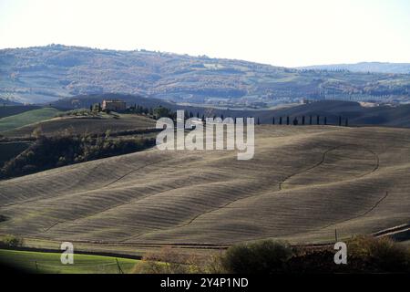 Landschaft Ende November im Val d'Orcia, Italien Stockfoto