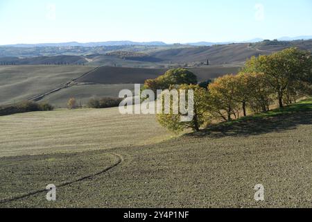 Landschaft Ende November im Val d'Orcia, Italien Stockfoto