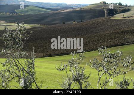 Landschaft Ende November im Val d'Orcia, Italien Stockfoto