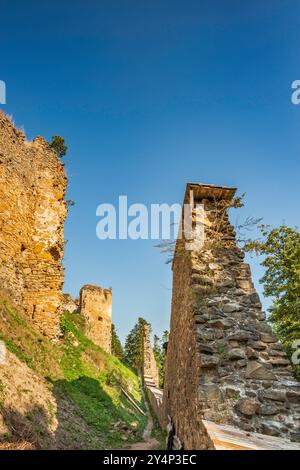 Schloss Zborowski, 13. Jahrhundert, in der Gegend von Šariš, Niederbeskiden, Westkarpaten, Region Presov, Slowakei Stockfoto