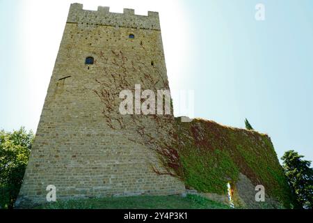 Ein Turm, der aus den Hügeln von Casentino hervorgeht, eine Burg, die den Charme der Zeit bewahrt, Casentino ist ein Gebiet, das sich Definitionen entzieht und aus s besteht Stockfoto