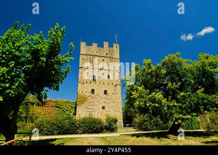 Ein Turm, der aus den Hügeln von Casentino hervorgeht, eine Burg, die den Charme der Zeit bewahrt, Casentino ist ein Gebiet, das sich Definitionen entzieht und aus s besteht Stockfoto