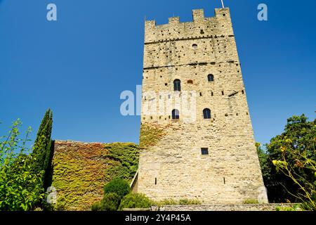 Ein Turm, der aus den Hügeln von Casentino hervorgeht, eine Burg, die den Charme der Zeit bewahrt, Casentino ist ein Gebiet, das sich Definitionen entzieht und aus s besteht Stockfoto