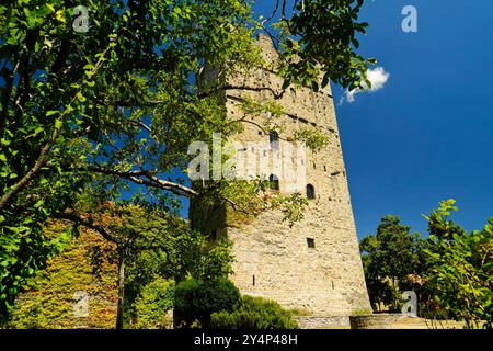 Ein Turm, der aus den Hügeln von Casentino hervorgeht, eine Burg, die den Charme der Zeit bewahrt, Casentino ist ein Gebiet, das sich Definitionen entzieht und aus s besteht Stockfoto